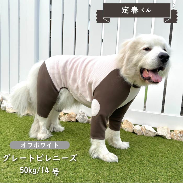 ストレッチ肘あて付きカバーオール 超大型犬 - VERY-PET