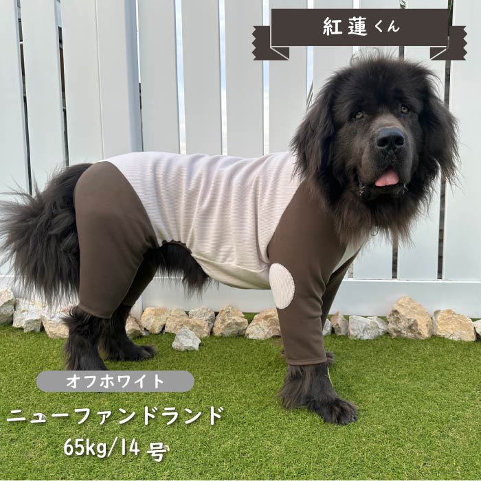 ストレッチ肘あて付きカバーオール 超大型犬 - VERY-PET