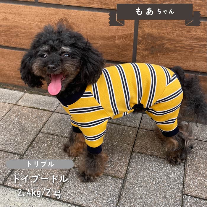 ストレッチボーダーカバーオール 小型犬・胴長 - VERY-PET