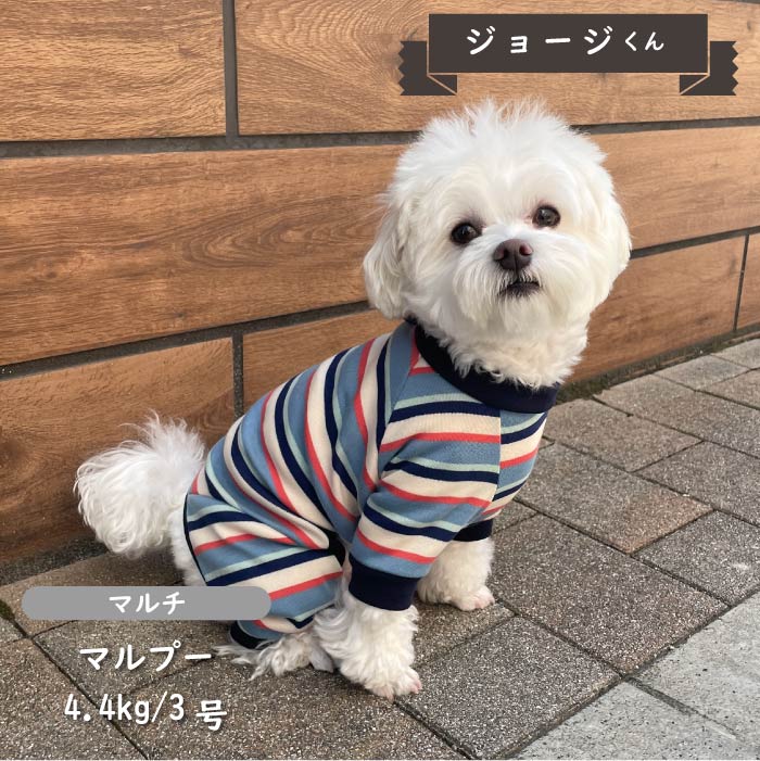 ストレッチボーダーカバーオール 小型犬・胴長 - VERY-PET