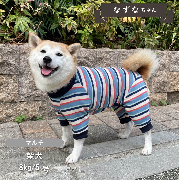 ストレッチボーダーカバーオール 小型犬・胴長 - VERY-PET