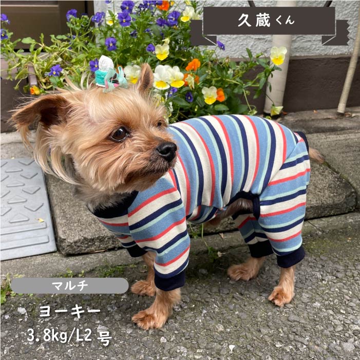 ストレッチボーダーカバーオール 小型犬・胴長 - VERY-PET