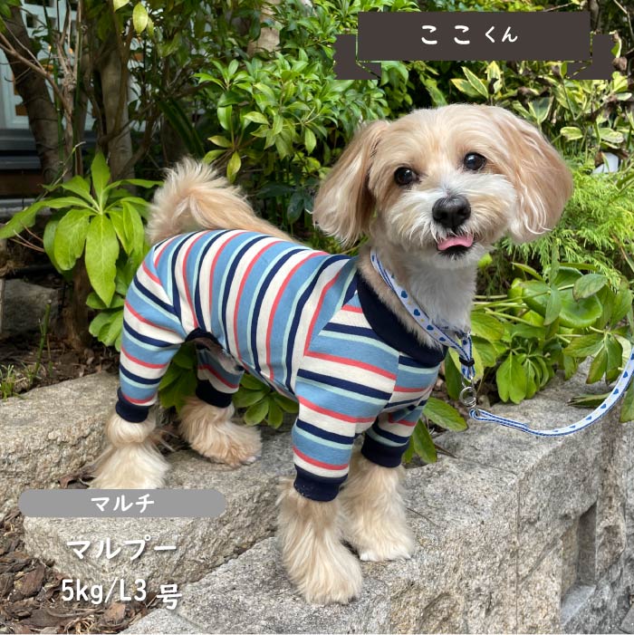 ストレッチボーダーカバーオール 小型犬・胴長 - VERY-PET