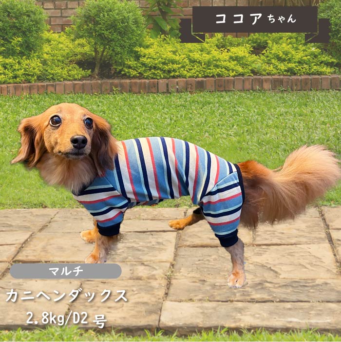 ストレッチボーダーカバーオール ダックス - VERY-PET