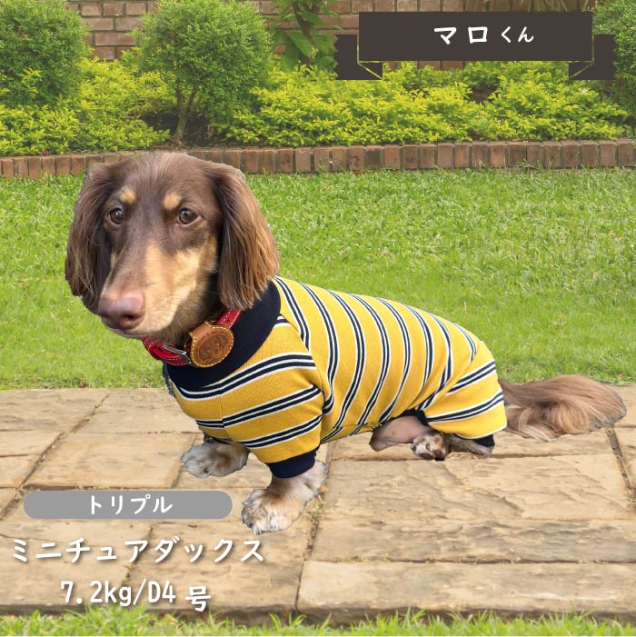 ストレッチボーダーカバーオール ダックス - VERY-PET