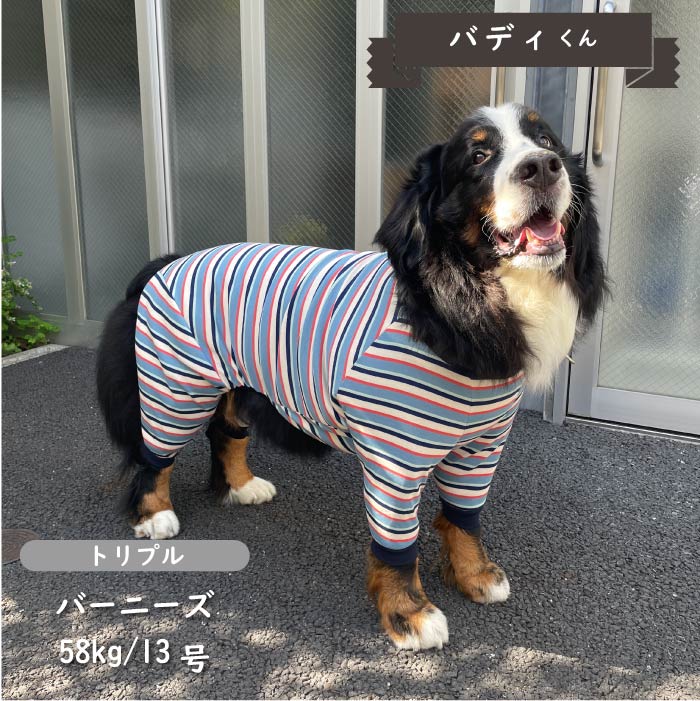 ストレッチボーダーカバーオール 超大型犬 - VERY-PET