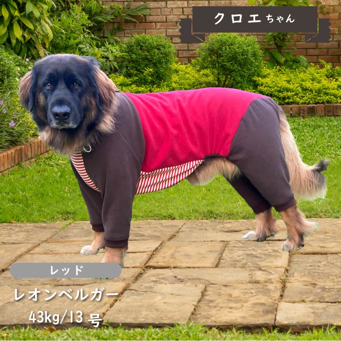 裏ボア切替カバーオール 超大型犬 - VERY-PET