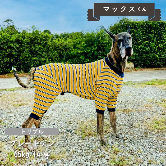 ストレッチボーダーカバーオール 超大型犬 - VERY-PET