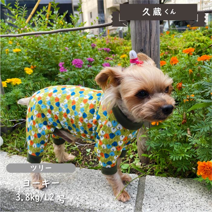 裏起毛プリントカバーオール 小型犬・胴長 - VERY-PET