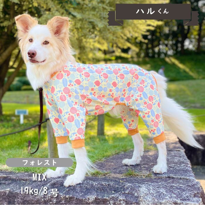 裏起毛プリントカバーオール 大型犬 - VERY-PET