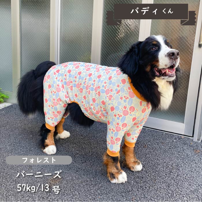 裏起毛プリントカバーオール 超大型犬 - VERY-PET