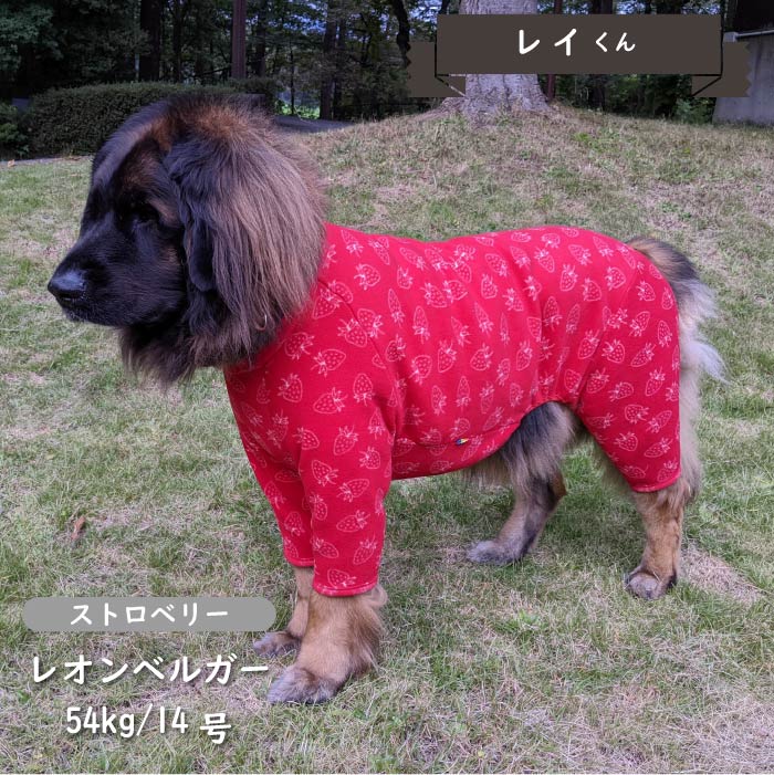 プリントフリースカバーオール 超大型犬 - VERY-PET