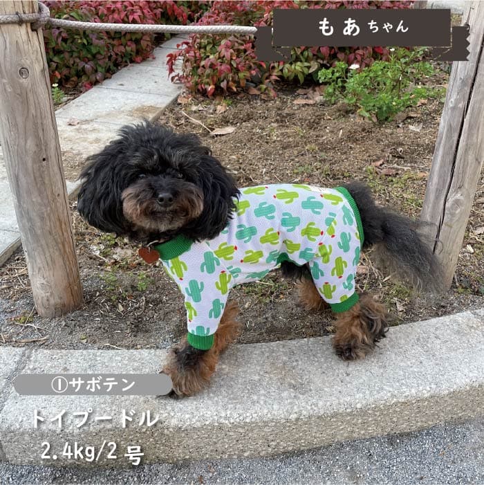 接触冷感&濡らして冷たい<br>クールカバーオール 小型犬・胴長 - VERY-PET