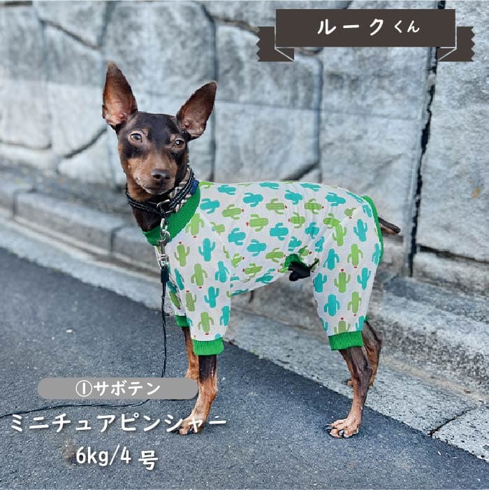 接触冷感&濡らして冷たい<br>クールカバーオール 小型犬・胴長 - VERY-PET