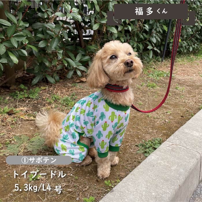 接触冷感&濡らして冷たい<br>クールカバーオール 小型犬・胴長 - VERY-PET