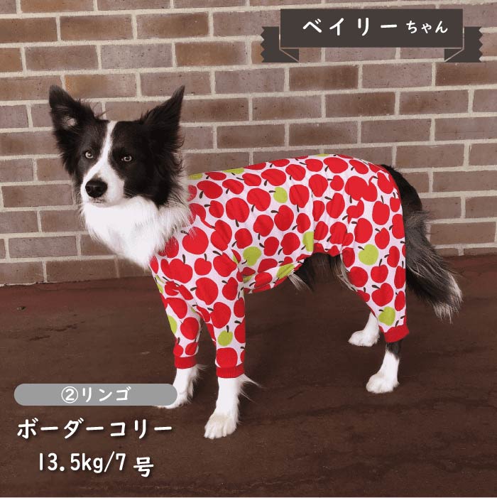 接触冷感&濡らして冷たい<br>クールカバーオール 中型犬 - VERY-PET