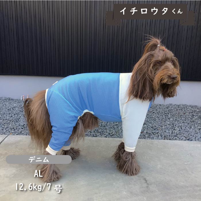 接触冷感&濡らして冷たい<br>クール切替えカバーオール 中型犬 - VERY-PET