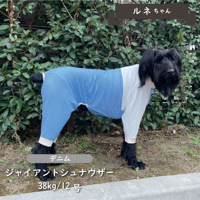 接触冷感&濡らして冷たい<br>クール切替えカバーオール 大型犬 - VERY-PET