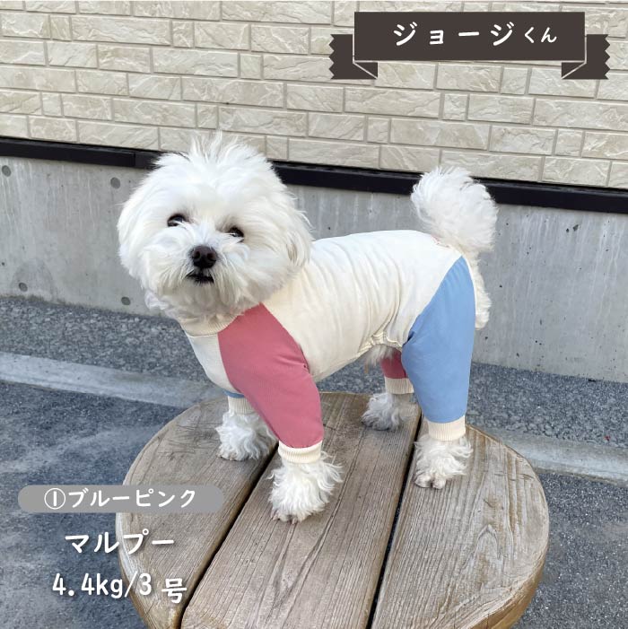 接触冷感&濡らして冷たい<br>カラーブロッククールカバーオール 小型犬・胴長 - VERY-PET