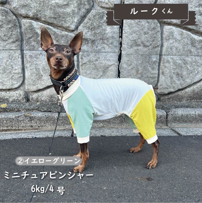 接触冷感&濡らして冷たい<br>カラーブロッククールカバーオール 小型犬・胴長 - VERY-PET