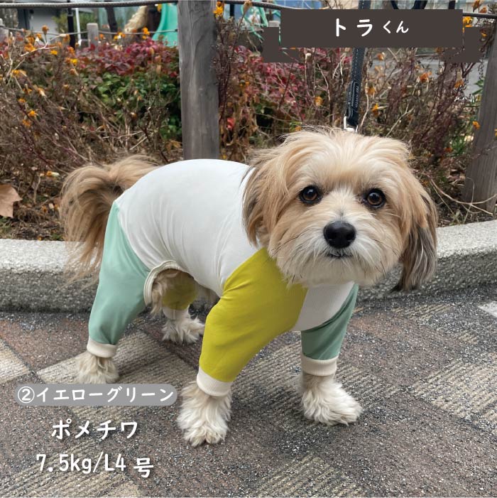 接触冷感&濡らして冷たい<br>カラーブロッククールカバーオール 小型犬・胴長 - VERY-PET