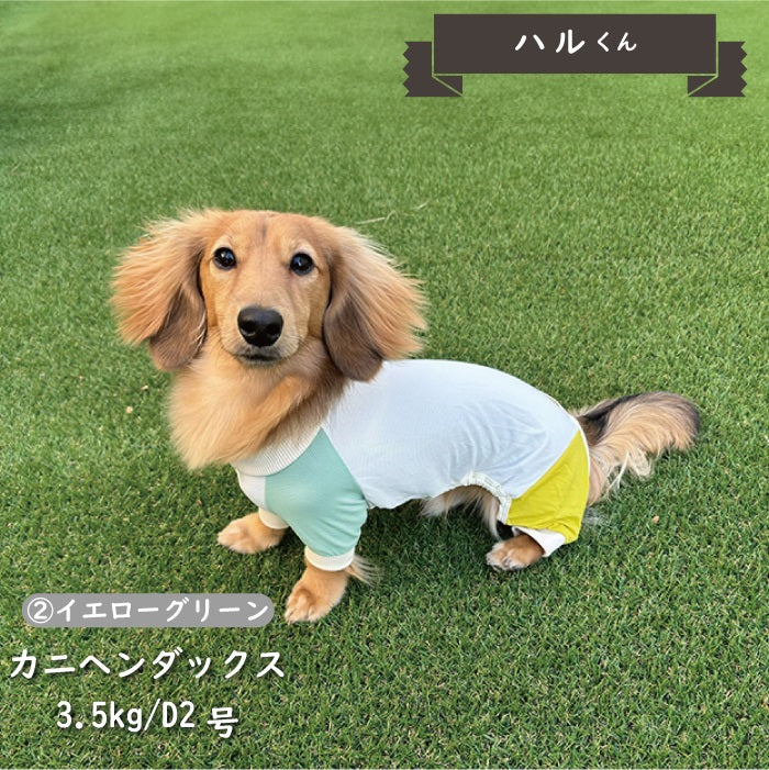 接触冷感&濡らして冷たい<br>カラーブロッククールカバーオール ダックス - VERY-PET