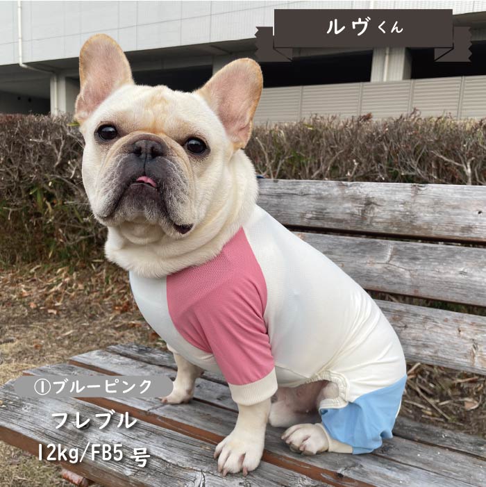 接触冷感&濡らして冷たい<br>カラーブロッククールカバーオール フレブル・パグ - VERY-PET