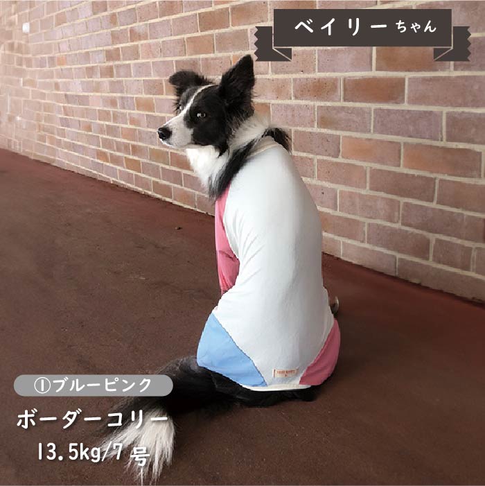 接触冷感&濡らして冷たい<br>カラーブロッククールカバーオール 中型犬 - VERY-PET