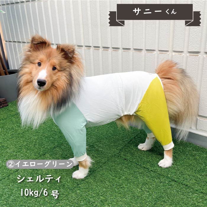 接触冷感&濡らして冷たい<br>カラーブロッククールカバーオール 中型犬 - VERY-PET