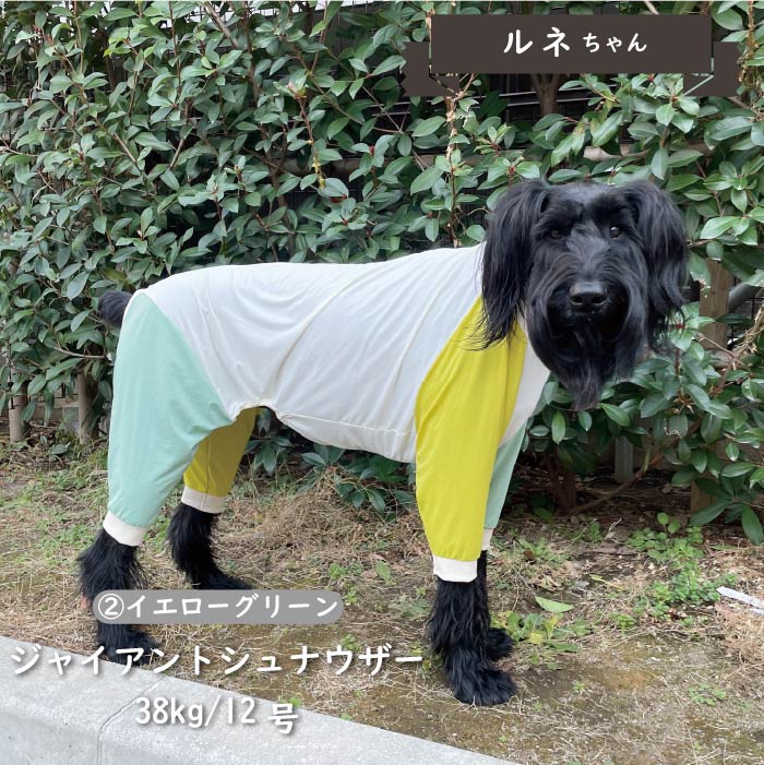 接触冷感&濡らして冷たい<br>カラーブロッククールカバーオール 大型犬 - VERY-PET