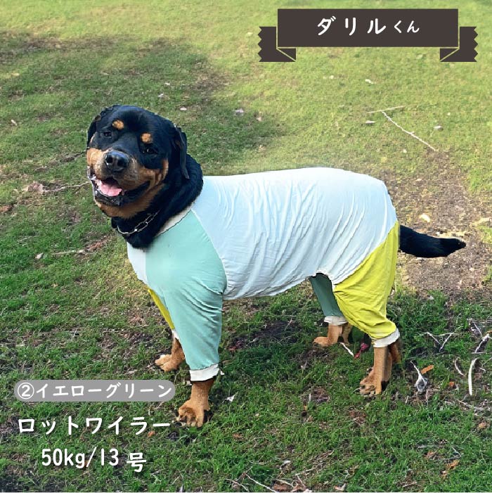 接触冷感&濡らして冷たい<br>カラーブロッククールカバーオール 超大型犬 - VERY-PET