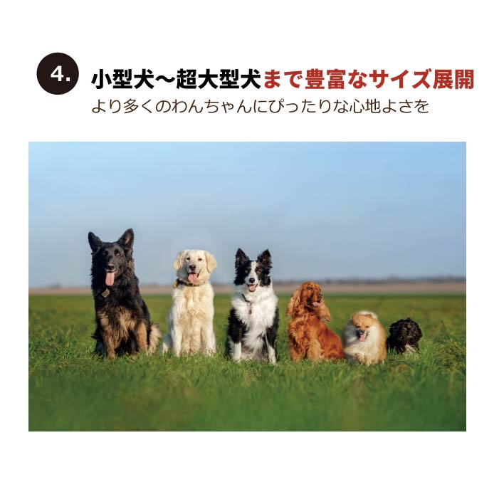 <font size="3">小型犬・胴長</font><br>ストレッチカバーオール