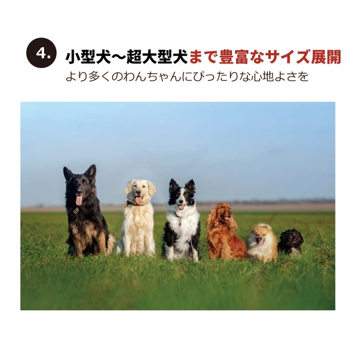 <font size="3">小型犬・胴長</font><br>フード付ボーダーニットカバーオール