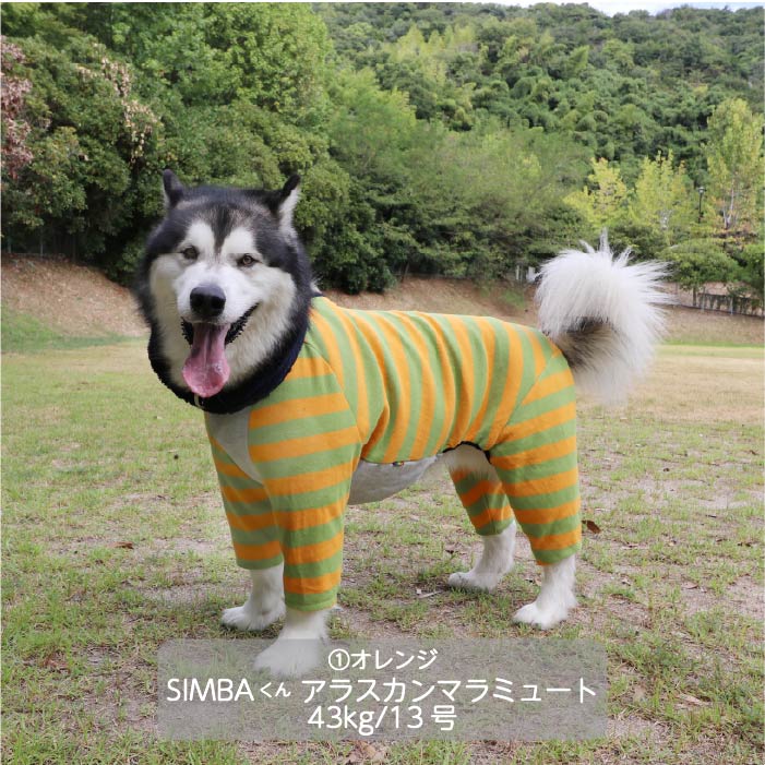 <font size="3">超大型犬</font><br>フード付ボーダーニットカバーオール