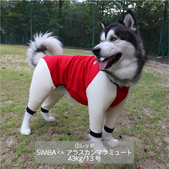 <font size="3">超大型犬</font><br>裏ボアカバーオール