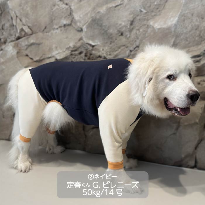 <font size="3">超大型犬</font><br>裏ボアカバーオール