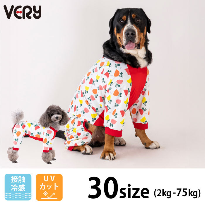 D4号サイズ 長袖・ロンパース – VERY-PET