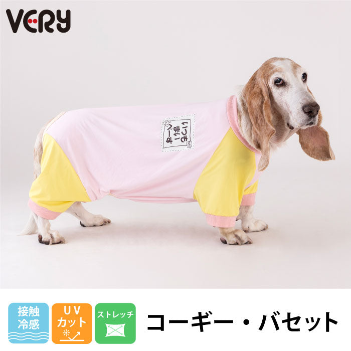 犬用品 R46さま確認用☺︎わんこふく