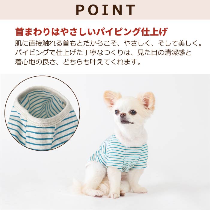 【綿100%】コットンTシャツ　小型犬・胴長・ダックス - VERY-PET