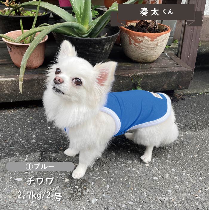 接触冷感&amp;濡らして冷たい<br>クールホルターネック　小型・胴長・ダックス - VERY-PET