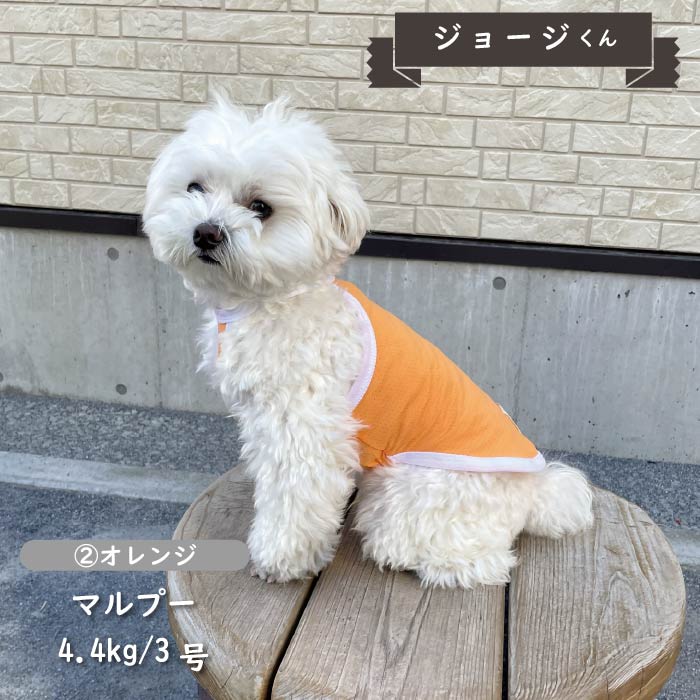 接触冷感&amp;濡らして冷たい<br>クールホルターネック　小型・胴長・ダックス - VERY-PET