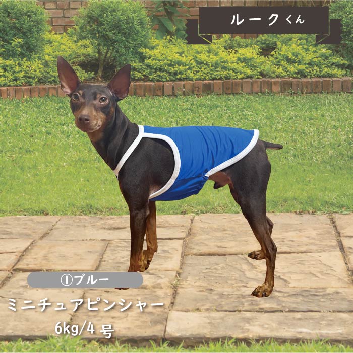 接触冷感&amp;濡らして冷たい<br>クールホルターネック　小型・胴長・ダックス - VERY-PET
