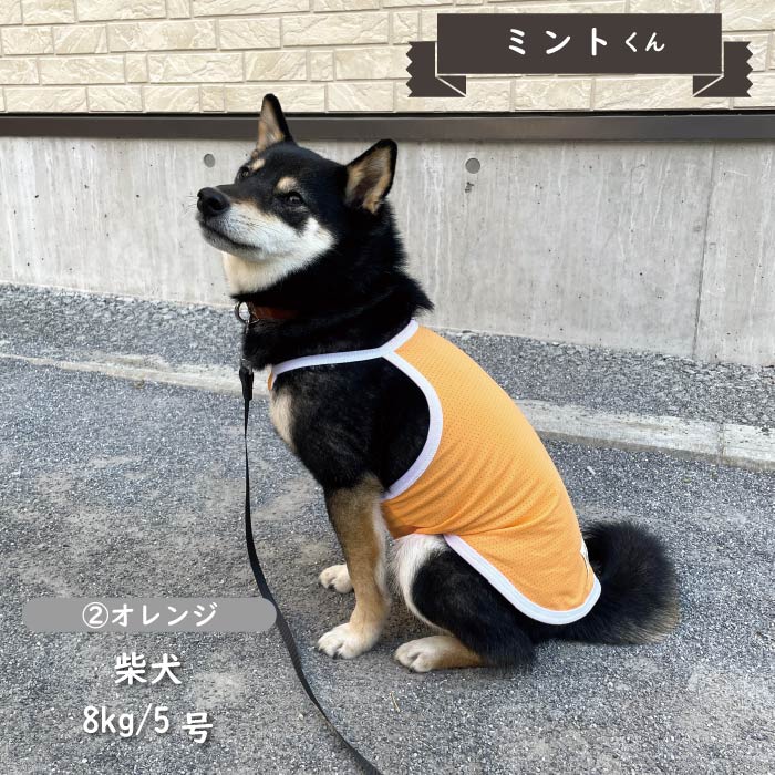接触冷感&amp;濡らして冷たい<br>クールホルターネック　小型・胴長・ダックス - VERY-PET
