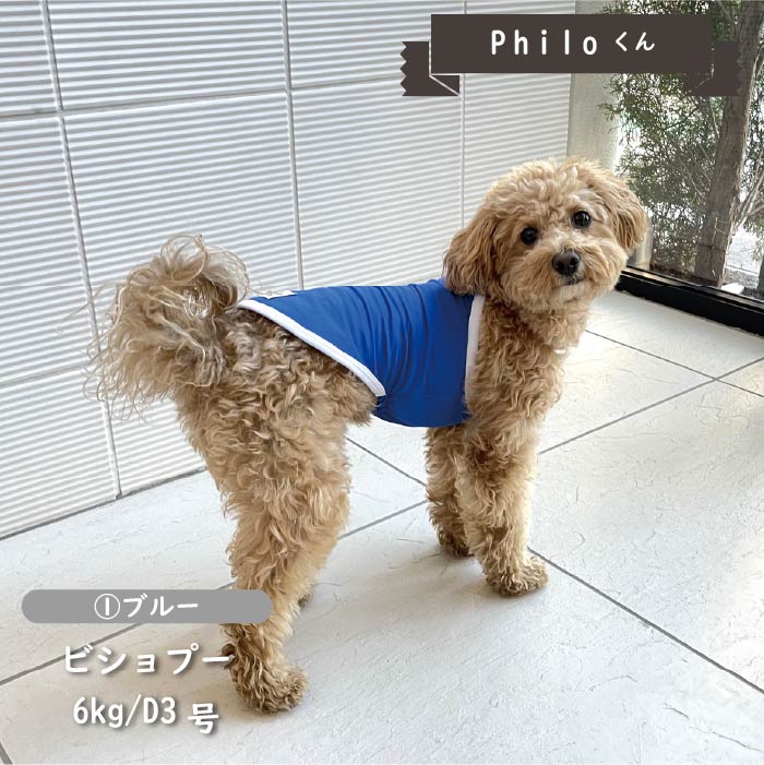 接触冷感&amp;濡らして冷たい<br>クールホルターネック　小型・胴長・ダックス - VERY-PET