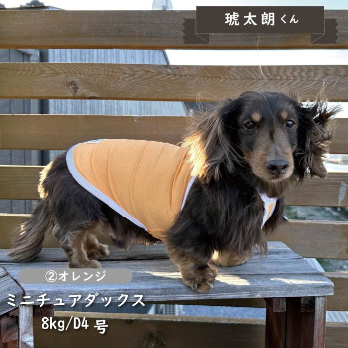 接触冷感&amp;濡らして冷たい<br>クールホルターネック　小型・胴長・ダックス - VERY-PET