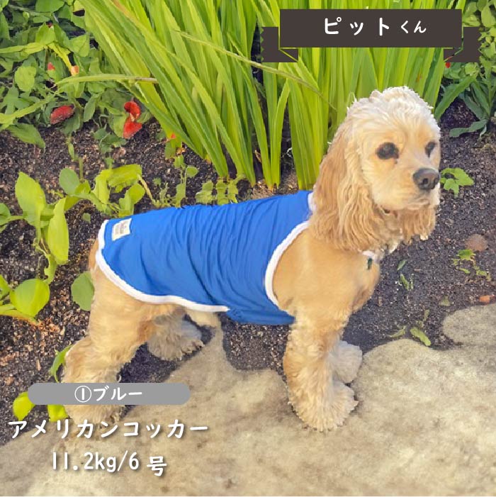 Web限定接触冷感&濡らして冷たい<br>クールホルターネック　中型犬・コーギー - VERY-PET