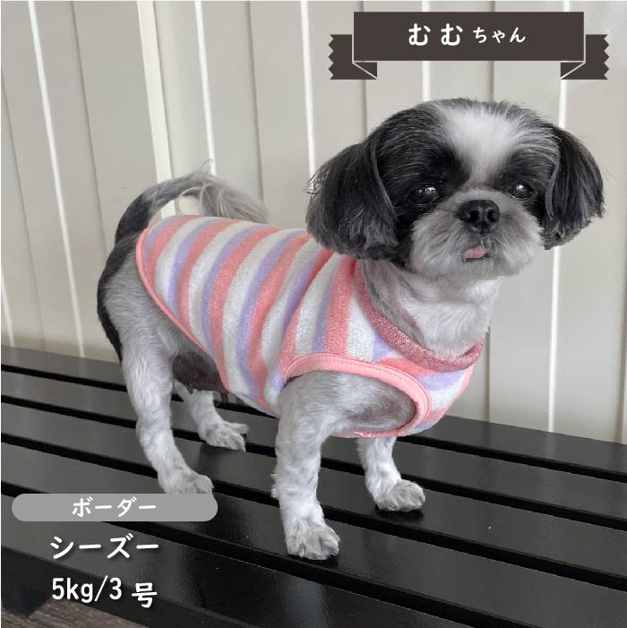 【2枚以上50％OFF】ボーダーボアタンクトップ　小型・胴長・ダックス - VERY-PET