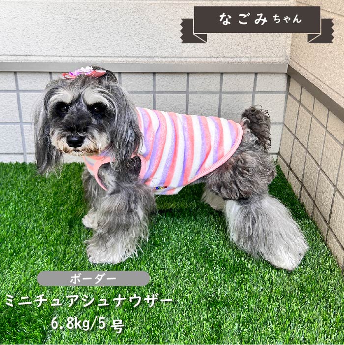 【2枚以上50％OFF】ボーダーボアタンクトップ　小型・胴長・ダックス - VERY-PET