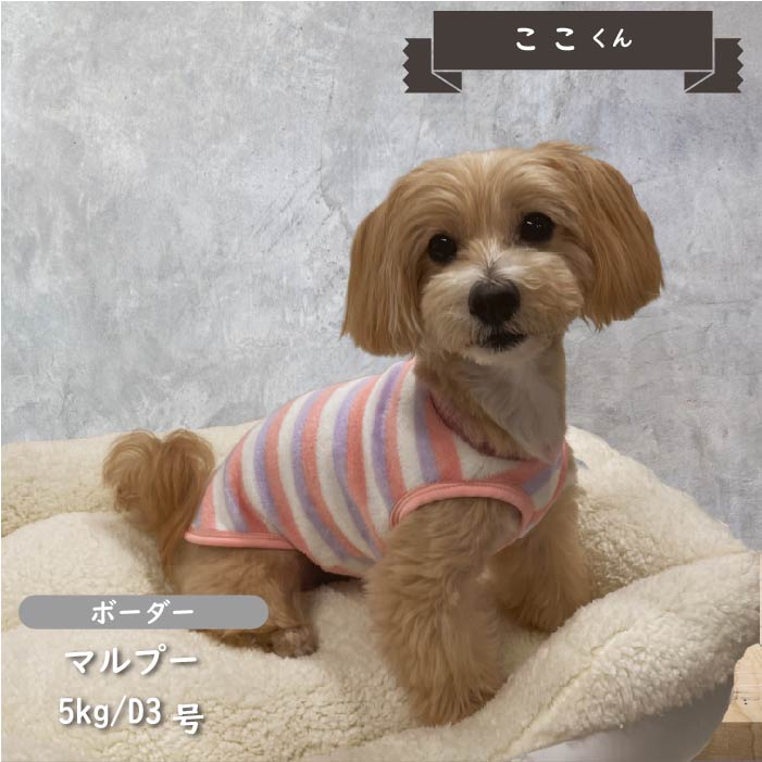 【2枚以上50％OFF】ボーダーボアタンクトップ　小型・胴長・ダックス - VERY-PET