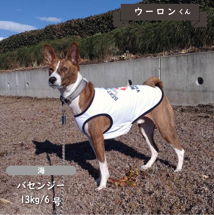 Web限定接触冷感&濡らして冷たい<br>クールプリントタンクトップ　中型犬・コーギー - VERY-PET